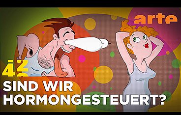 42 - Die Antwort auf fast alles
