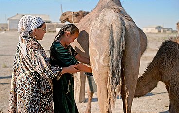 Unbekanntes Usbekistan
