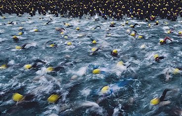 Triathlon: T100 Triathlon World Tour in