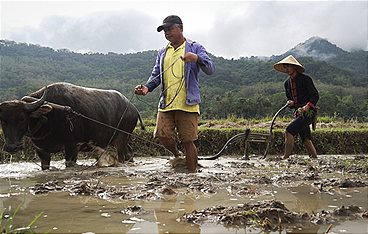 Auf dem Mekong durch Laos