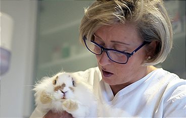Die Tierärzte - Retter mit Herz