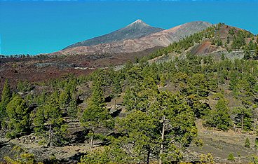 Teneriffa - Im Bann des Teide