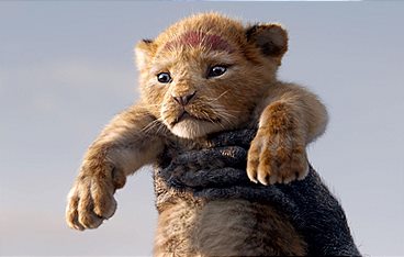 Der König der Löwen