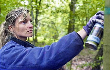 Mein Wald - Fünf Jahre zwischen Mythos und Holz