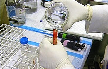 Medical Detectives - Geheimnisse der Gerichtsmedizin