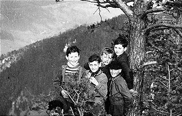 Die Kriegsjahre in Österreich - Der Weg in den Krieg