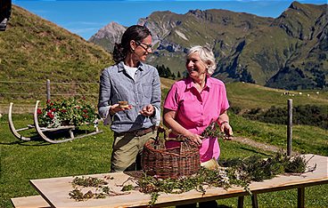 Land der Berge