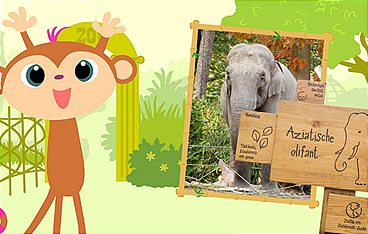 StoryZoo Abenteuer