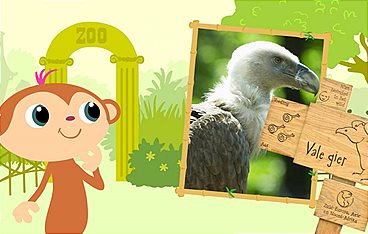 StoryZoo Abenteuer