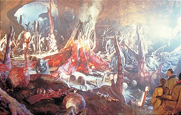 Evolution