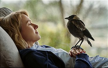 Beflügelt - Ein Vogel namens Penguin Bloom