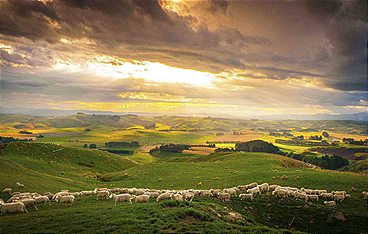 Terra Mater - Wildes Neuseeland