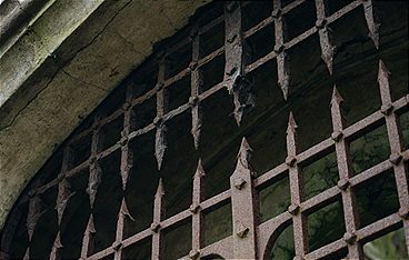 Lost Places