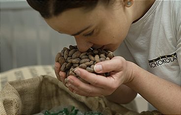Schokolade - Handwerk, Handel & Genuss